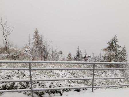 Prvi sneg pobelil Veliko planino 2